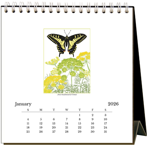Butterflies 2026 - Desk Calendar