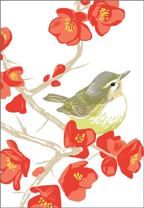 RBI-9139 Flowering Quince Warbling Vireo