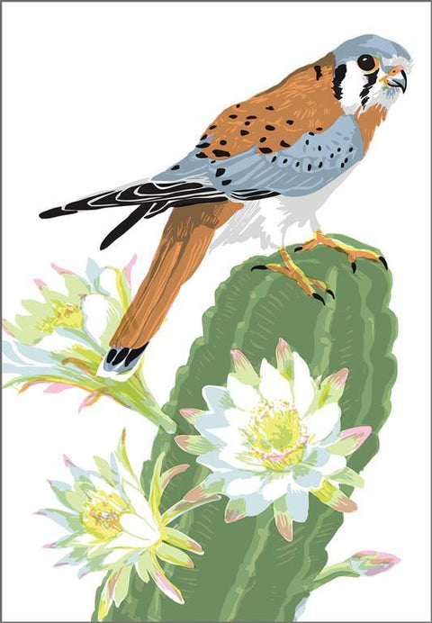 RBI-9141 Kestrel Cactus