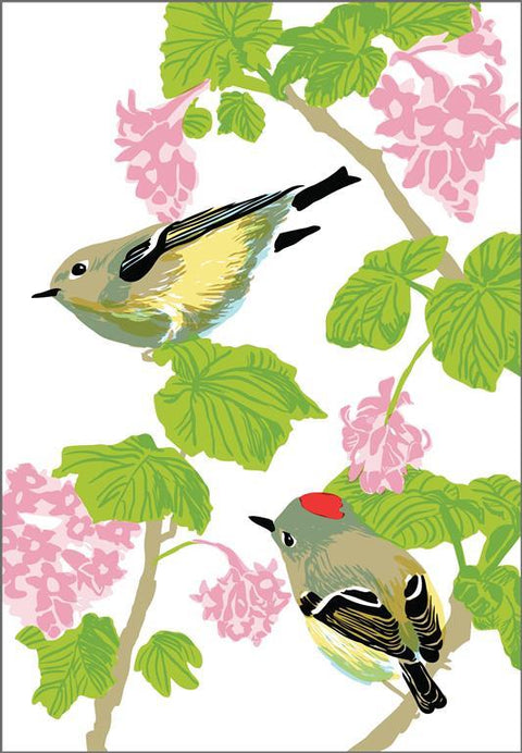 RBI-9143 Ruby Crowned Kinglet Currant