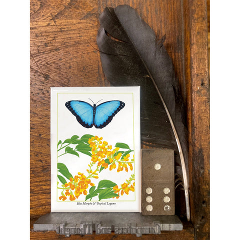 RBU-741 Blue Morpho Butterfly