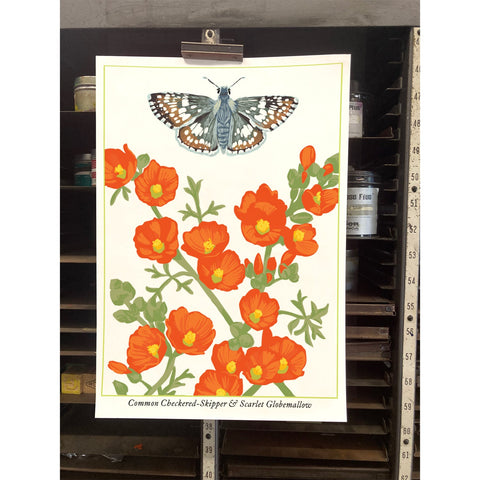 RBU-743 Checkered-Skipper Butterfly