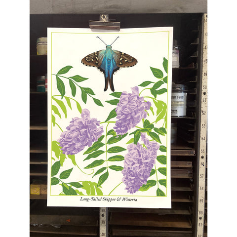 RBU-744 Long-Tailed Skipper Butterfly