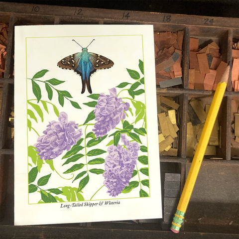 RBU-744 Long-Tailed Skipper Butterfly