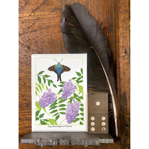RBU-744 Long-Tailed Skipper Butterfly