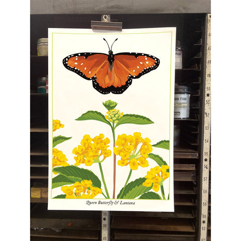 RBU-746 Queen Butterfly
