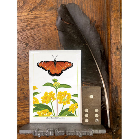 RBU-746 Queen Butterfly