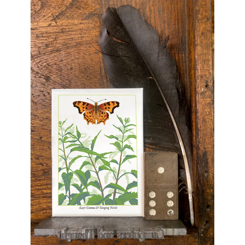 RBU-748 Satyr Comma Butterfly