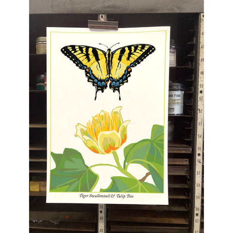 RBU-750 Tiger Swallowtail Butterfly