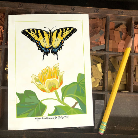 RBU-750 Tiger Swallowtail Butterfly