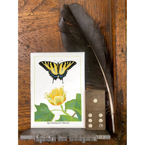 RBU-750 Tiger Swallowtail Butterfly