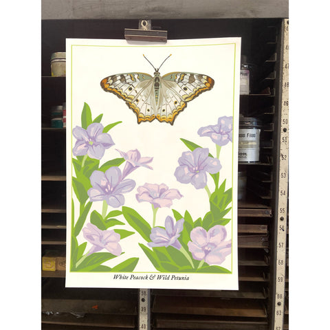 RBU-751 White Peacock Butterfly