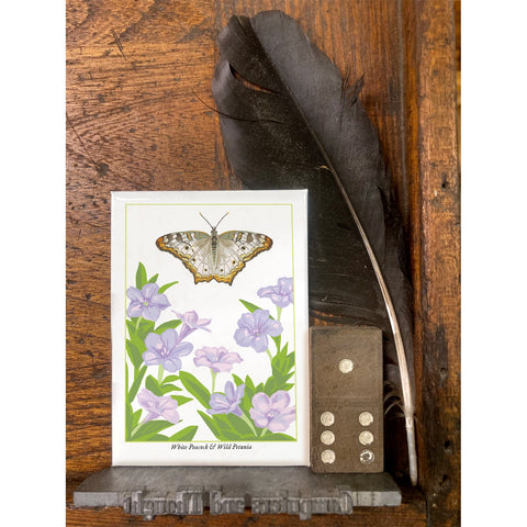 RBU-751 White Peacock Butterfly