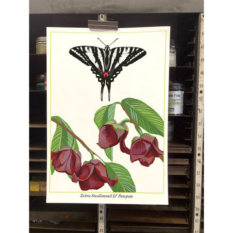 RBU-752 Zebra Swallowtail Butterfly