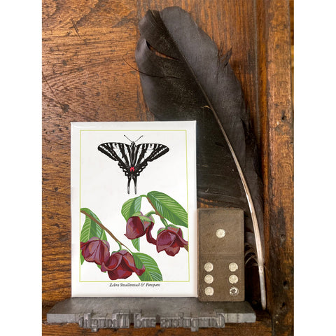 RBU-752 Zebra Swallowtail Butterfly