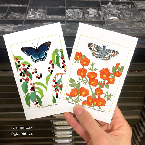 RBU-747 Red-Spotted Purple Butterfly