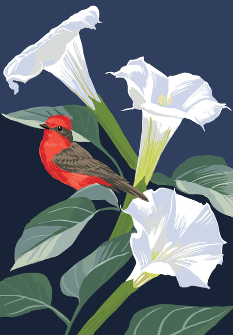 RBI-9165 Vermillion Flycatcher and Datura