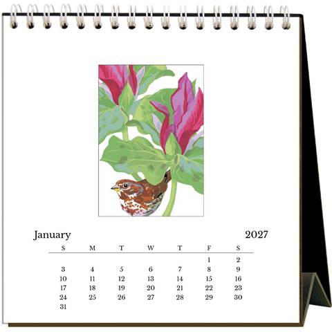Bay Area Birds 2027 Easel Desk Calendar