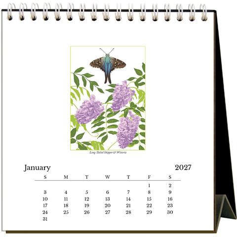 Butterflies 2027 Easel Desk Calendar