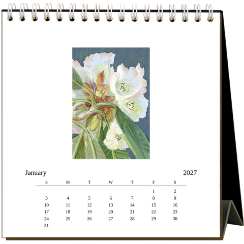 Garden Sketchbook  2027 Easel Desk Calendar