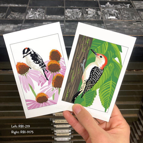 RBI-09175 Red-Bellied Woodpecker and Elm