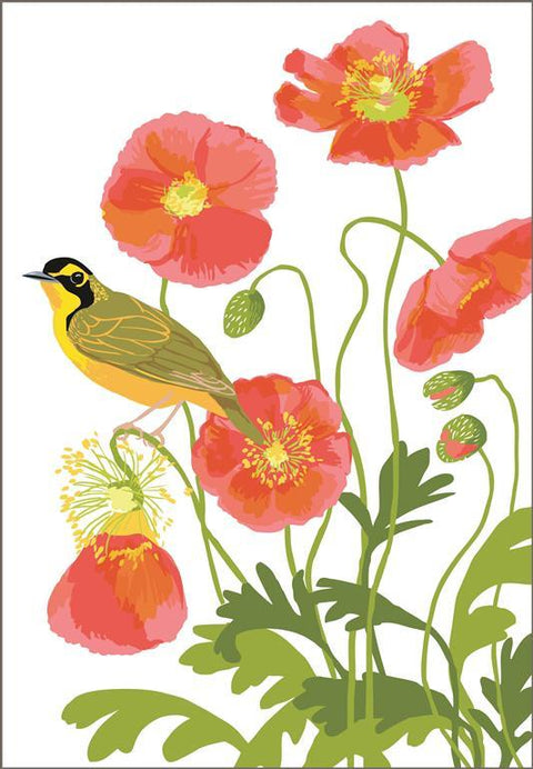 RBI-9157  Kentucky Warbler and Icelandic Poppies