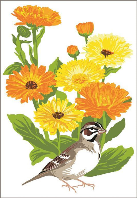 RBI-9158  Lark Sparrow and Calendulas