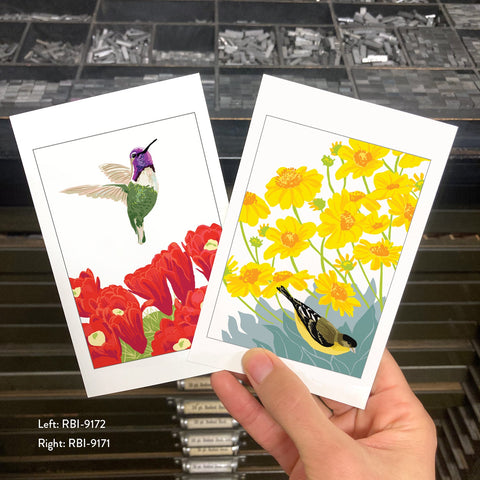 RBI-9171 Lesser Goldfinch and Brittlebush