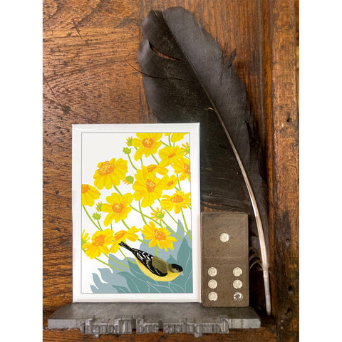 RBI-9171 Lesser Goldfinch and Brittlebush