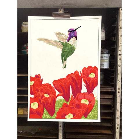 RBI-9172 Costa's Hummingbird and Cactus