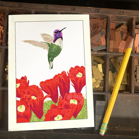 RBI-9172 Costa's Hummingbird and Cactus