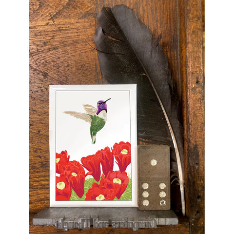 RBI-9172 Costa's Hummingbird and Cactus