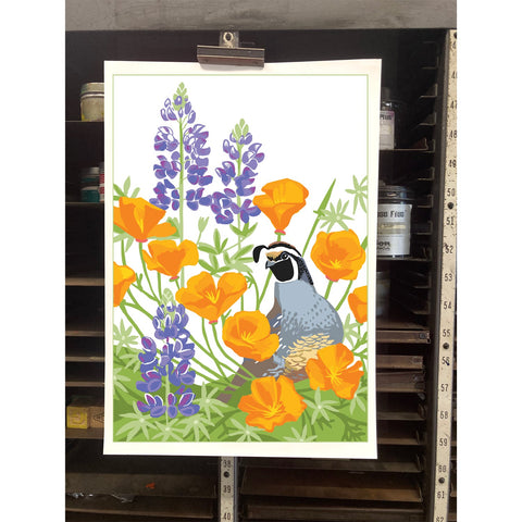 RBI-9176 California Quail, Poppy, Lupine
