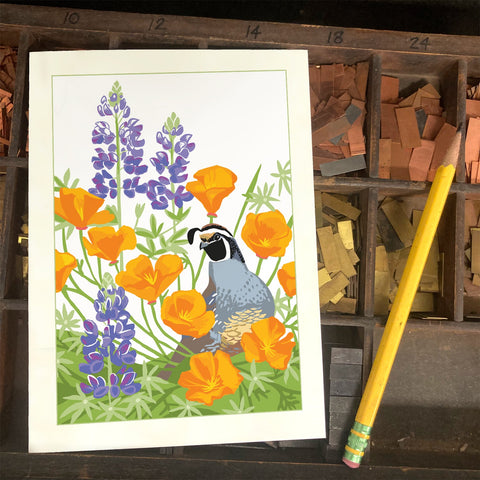 RBI-9176 California Quail, Poppy, Lupine
