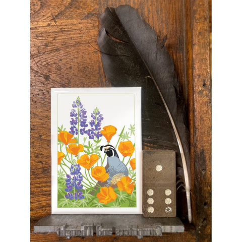 RBI-9176 California Quail, Poppy, Lupine