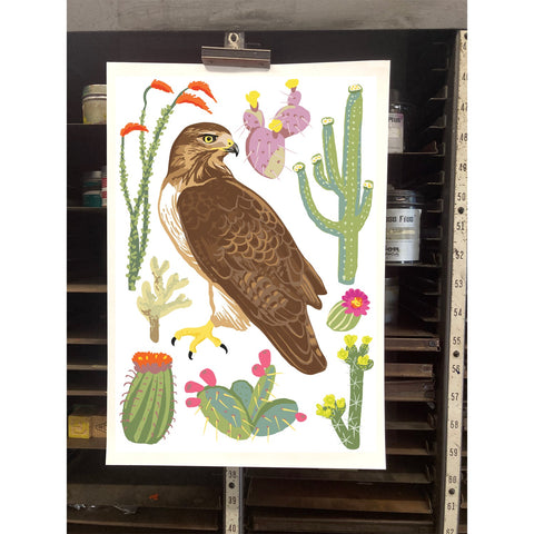 RBI-9177 Red-Tailed Hawk and Cacti