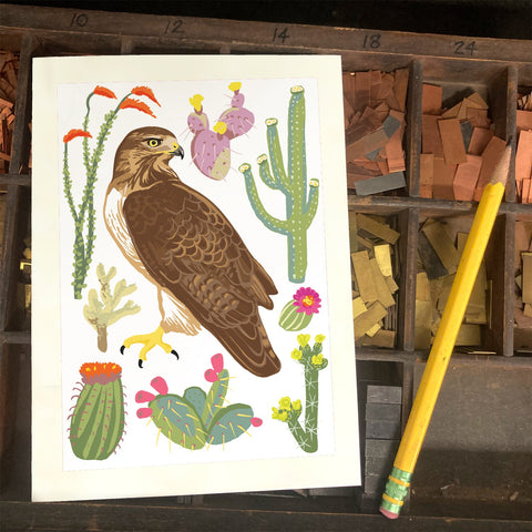 RBI-9177 Red-Tailed Hawk and Cacti