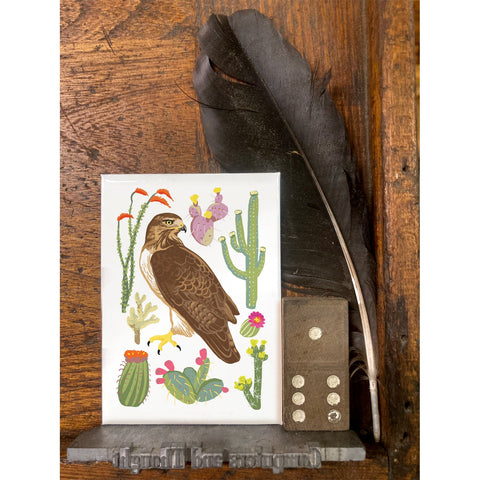 RBI-9177 Red-Tailed Hawk and Cacti