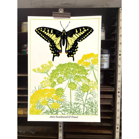 RBU-722 Anise Swallowtail Butterfly