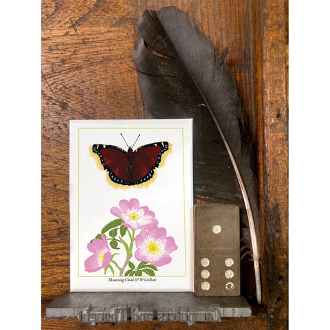 RBU-732 Mourning Cloak Butterfly