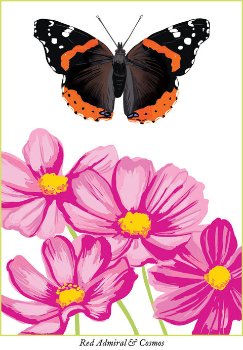 RBU-736 Red Admiral Butterfly