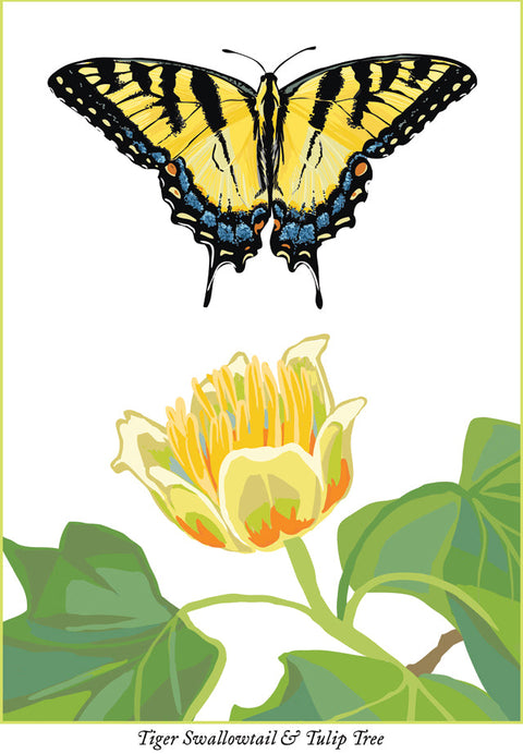 RBU-750 Tiger Swallowtail Butterfly