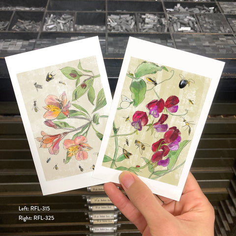 RFL-325 Sweet Pea and Pollinators