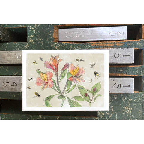 RFL-00315 Alstroemeria and Insects