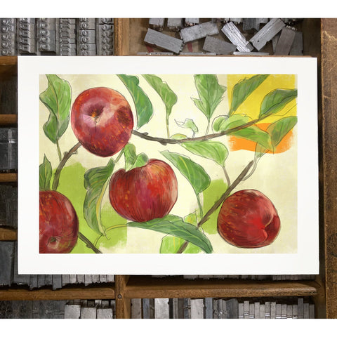 RFL-316 Apples on Branches