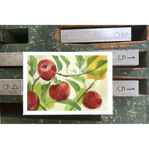 RFL-316 Apples on Branches
