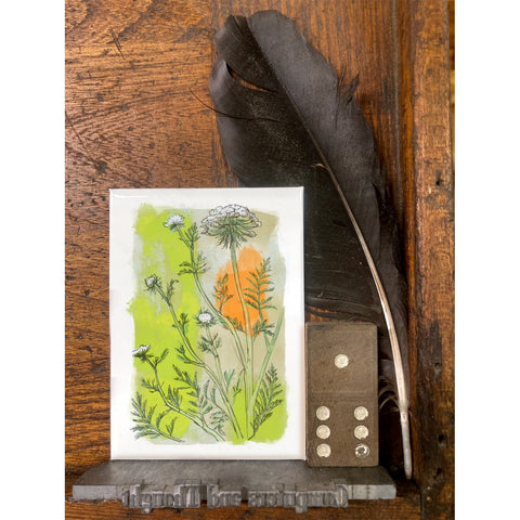 RFL-317 Carrot Blossoms