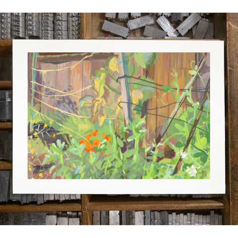 RFL-319 Backyard Garden Sketch