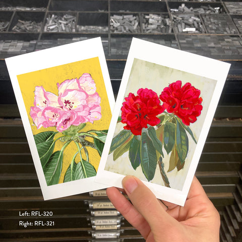 RFL-320 Pink Rhododendron