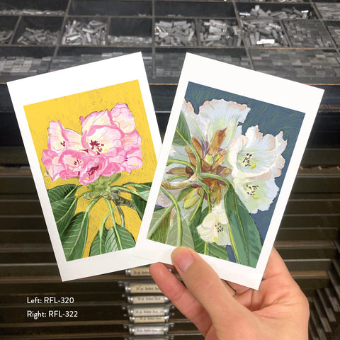 RFL-322 White Rhododendron